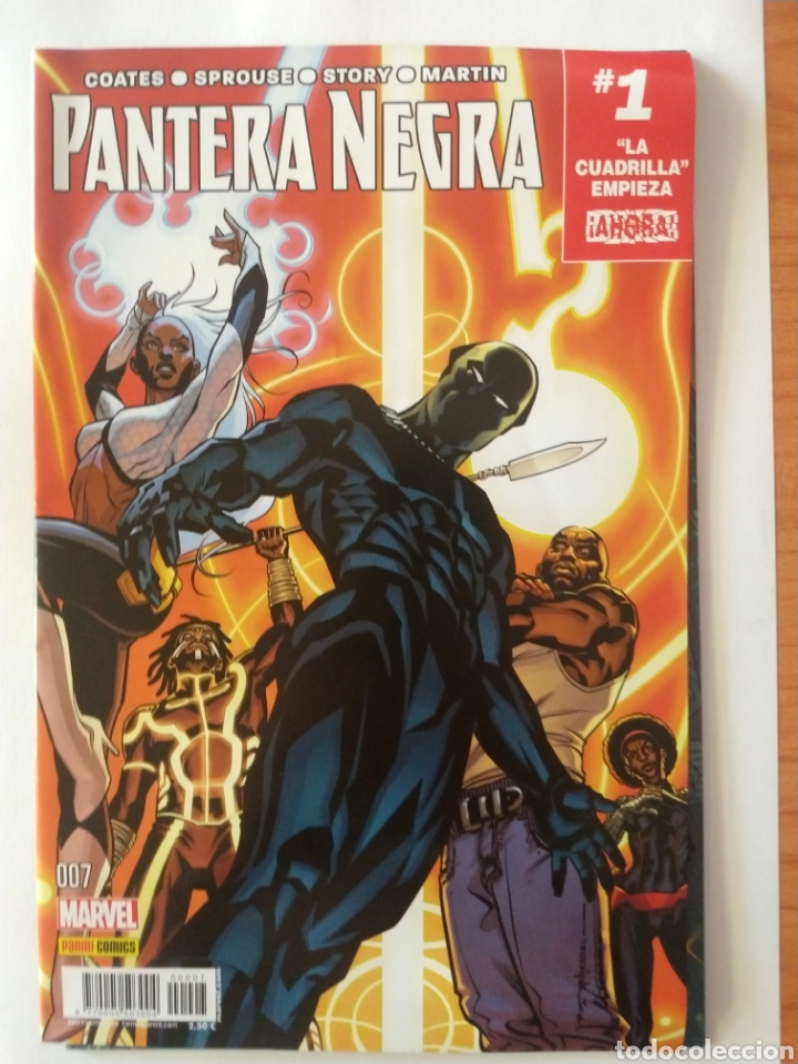 C&oacute;mics: Pantera Negra de Ta-Naeshi Coates - Foto 2