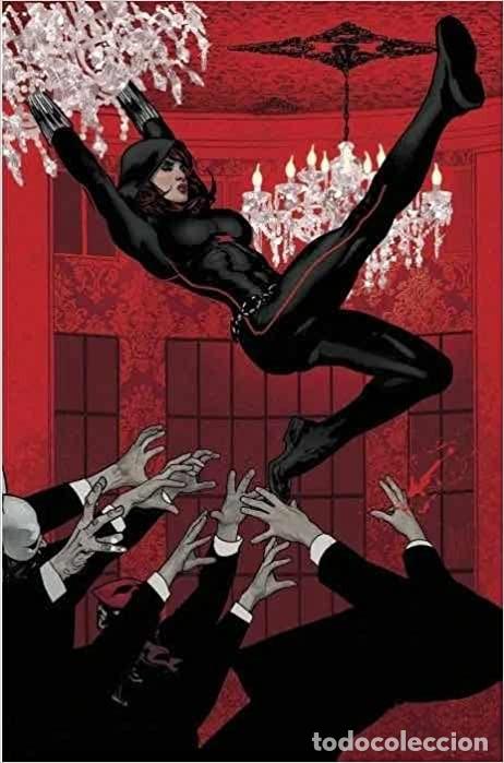 LOTE VIUDA NEGRA SUELTOS TB