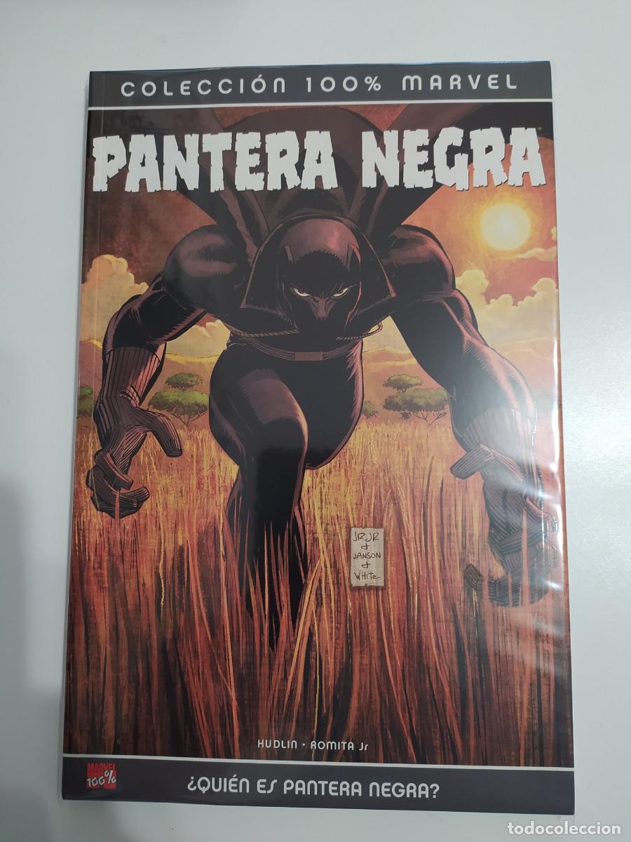C&oacute;mics: Pantera Negra &iquest;qui&eacute;n es Pantera negra? - Foto 1