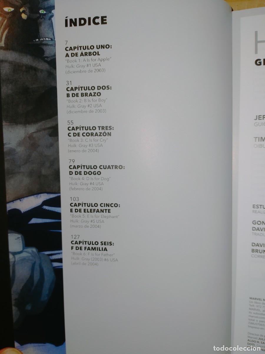 C&oacute;mics: JEPH LOEB/TIM SALE. HULK (GRIS) .MARVEL - Foto 3