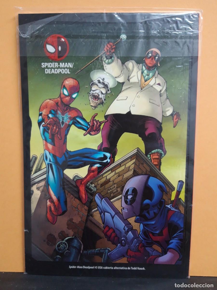 C&oacute;mics: EL ASOMBROSO SPIDERMAN N&ordm; 119. PANINI - Foto 2