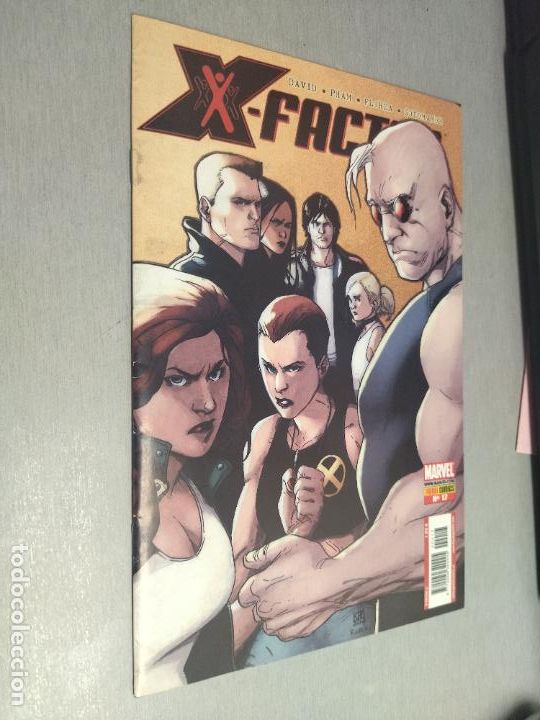 C&oacute;mics: X-FACTOR N&ordm; 17 / PETER DAVID / MARVEL - PANINI - Foto 1