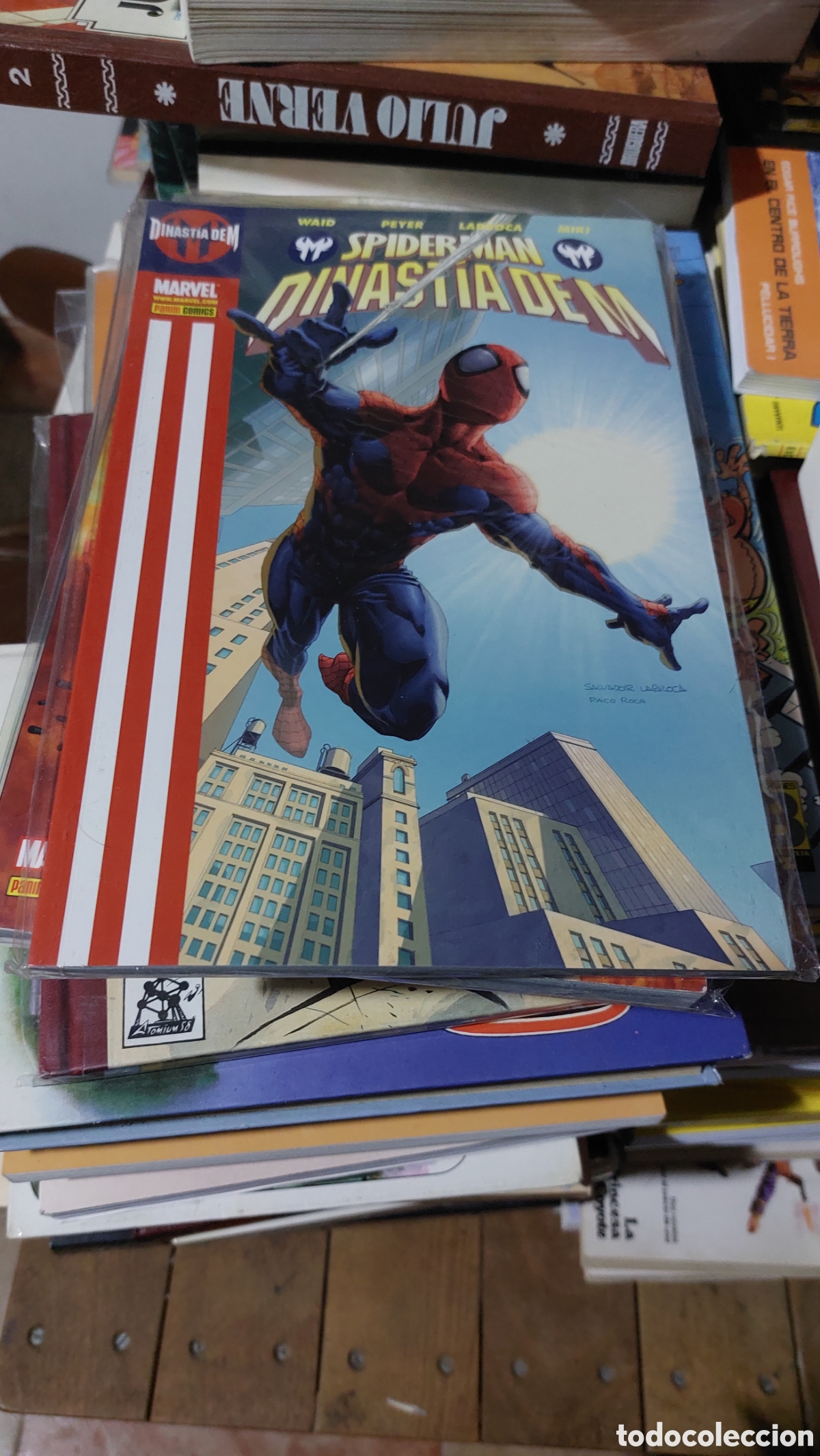 C&oacute;mics: SpiderMan Dinast&iacute;a de M - Foto 1