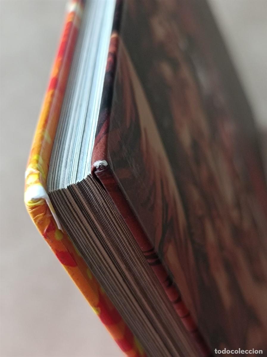 C&oacute;mics: LA ODISEA COLECCI&Oacute;N CL&Aacute;SICOS ILUSTRADOS MARVEL PANINI - Foto 26