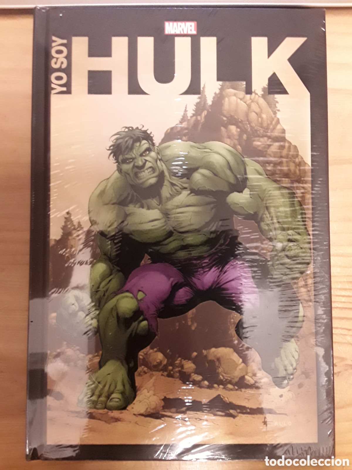 C&oacute;mics: Yo soy Hulk - Panini / Marvel - Foto 1