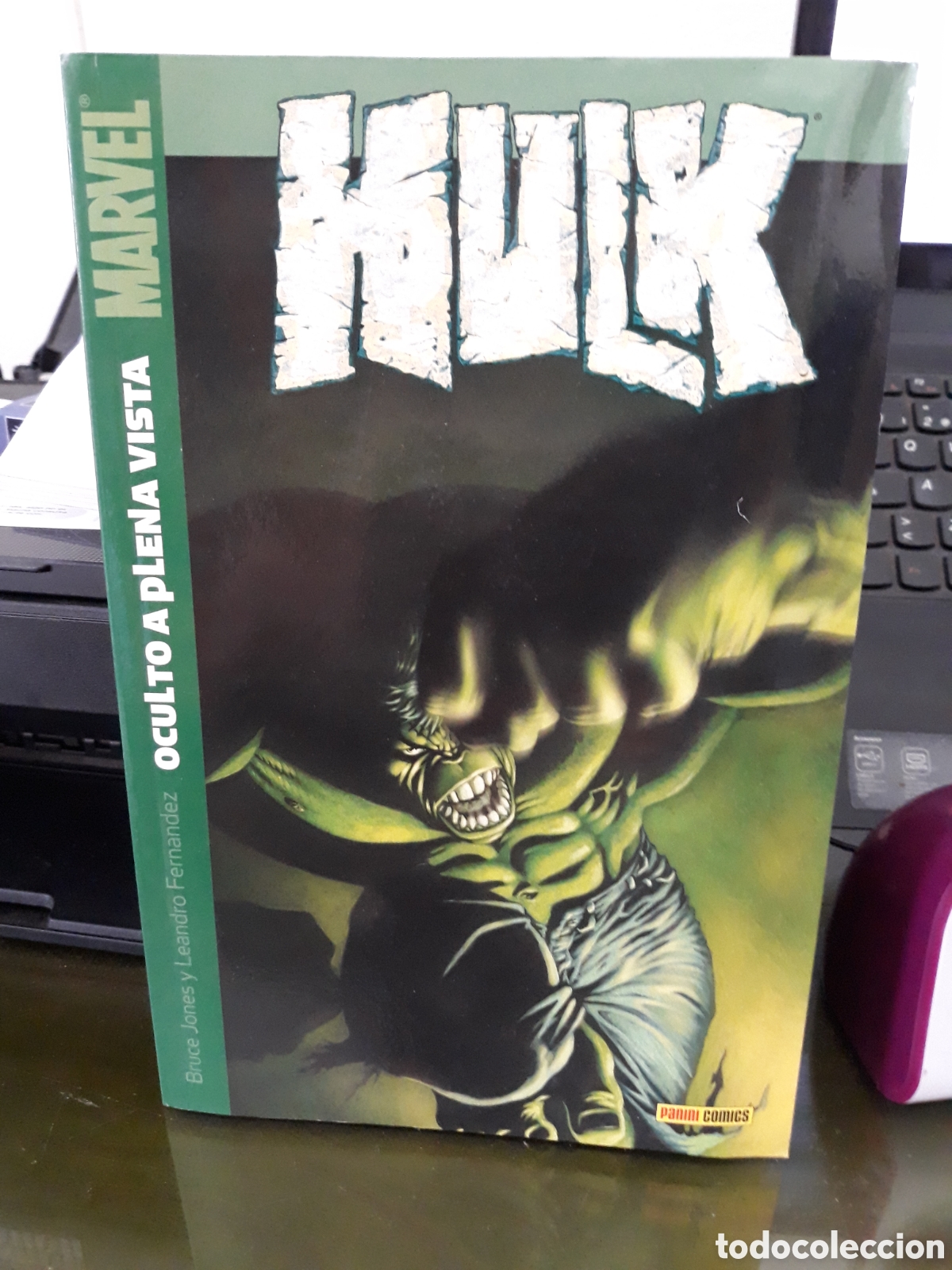 C&oacute;mics: HULK: OCULTO A PLENA VISTA - PANINI - Foto 1