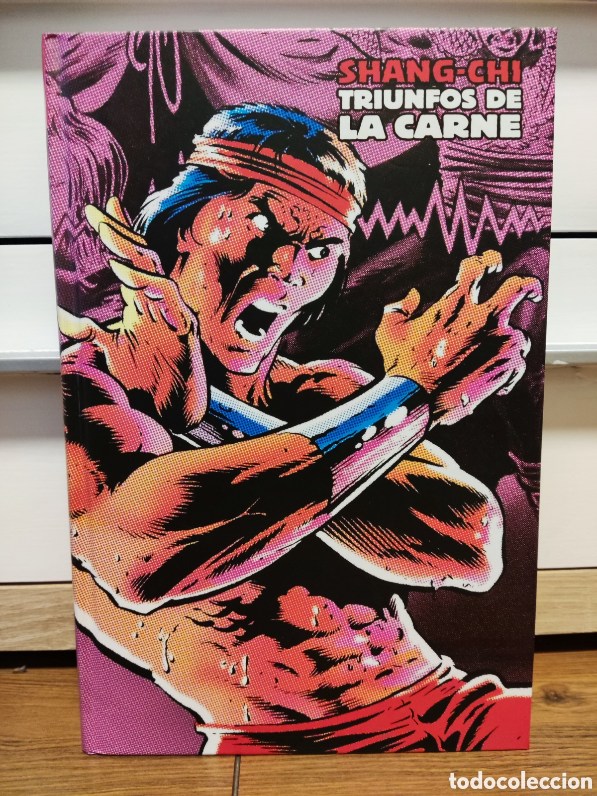 C&oacute;mics: SHANG-CHI TRIUNFOS DE LA CARNE Marvel Limited Edition MLE IMPECABLE - Foto 1