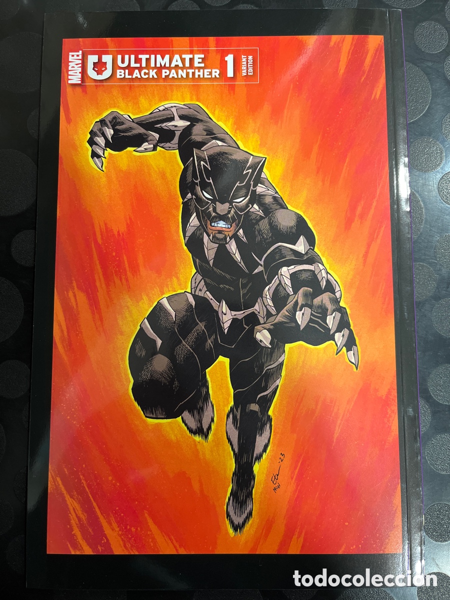 C&oacute;mics: ULT&Iacute;MATE BLACK PANTHER N.1 SIEMPRE WAKANDA ( 2024/&hellip; ) - Foto 2