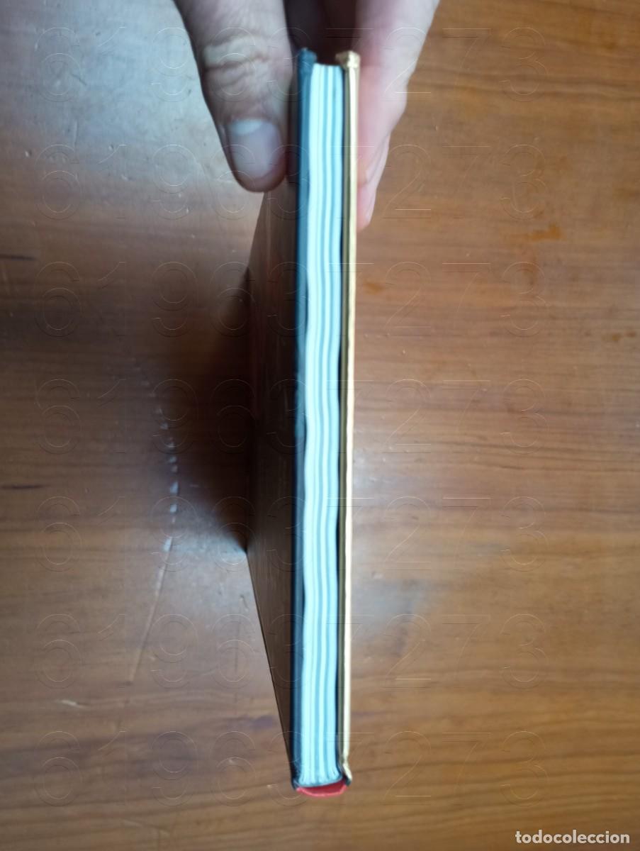 C&oacute;mics: PATRULLA X CISMA MARVEL MUST HAVE PANINI COMIC1 - Foto 4