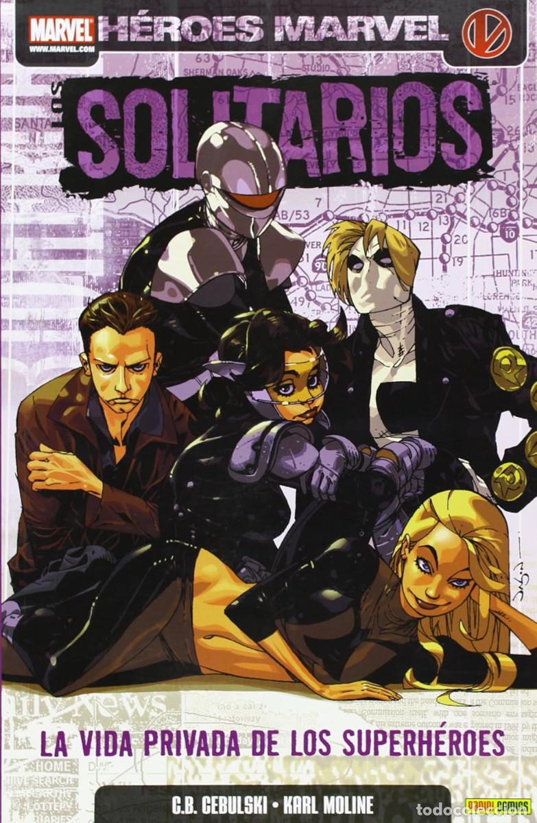 C&oacute;mics: LOS SOLITARIOS: LA VIDA PRIVADA DE LOS SUPERHEROES - TOMO UNICO PANINI - COMO NUEVO