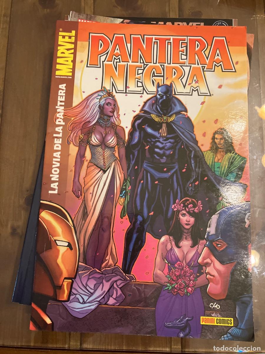 C&oacute;mics: PANTERA NEGRA - 6 TOMOS - CASI COMPLETA - PANINI - Foto 4