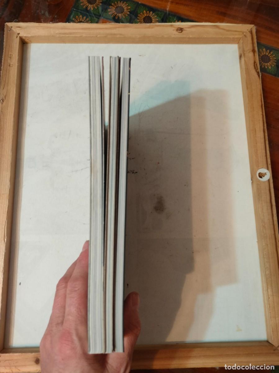 C&oacute;mics: KULL PANINI.3 VOLUMENES COLECCI&Oacute;N COMPLETA. - Foto 5