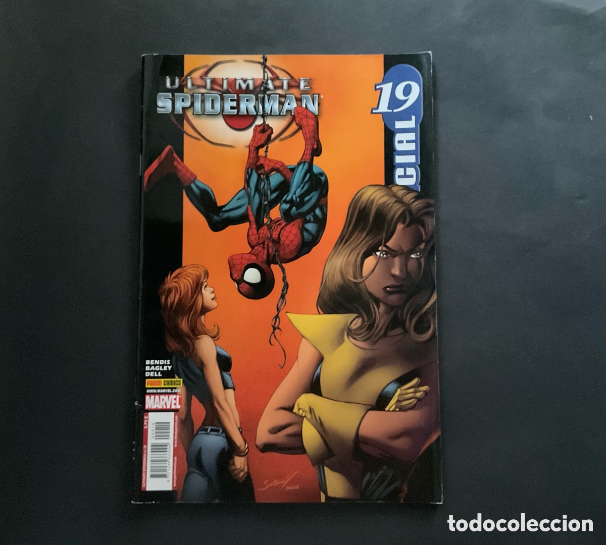 C&oacute;mics: Ultimate Spiderman n&uacute;mero 19 Panini - Foto 1
