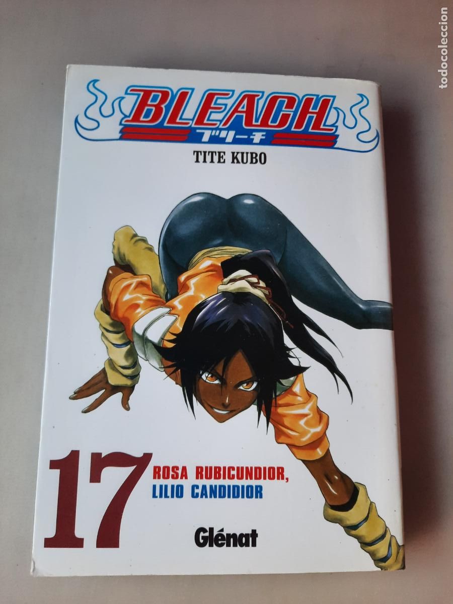 C&oacute;mics: BLEACH N&ordm; 17 - ED. GL&Eacute;NAT - Foto 1