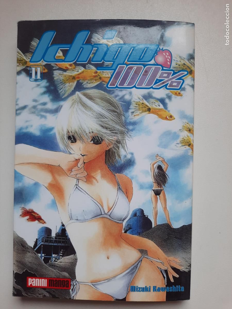 C&oacute;mics: ICHIGO 100% N&ordm; 11 - ED. PANINI - Foto 1