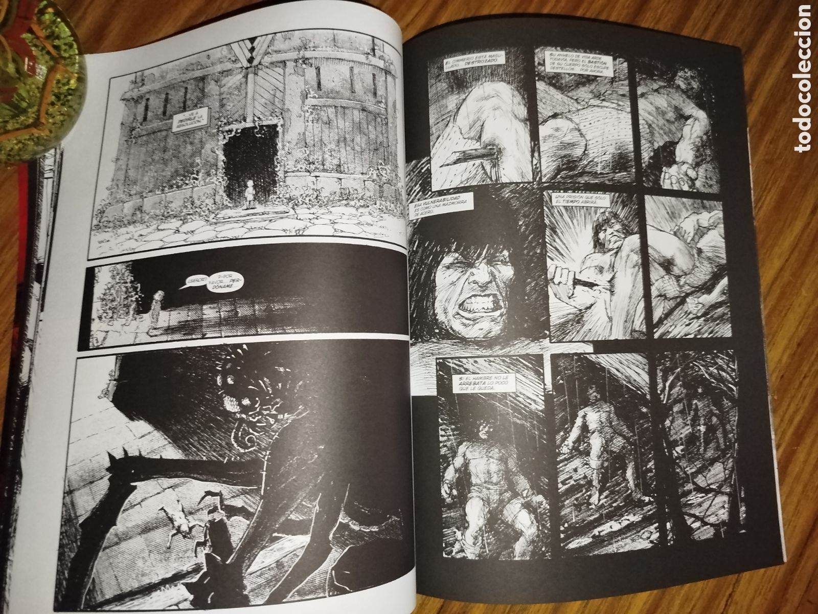 C&oacute;mics: La espada salvaje de Conan, 2. Tit&aacute;n c&oacute;mics. Nuevo, sin uso. - Foto 3