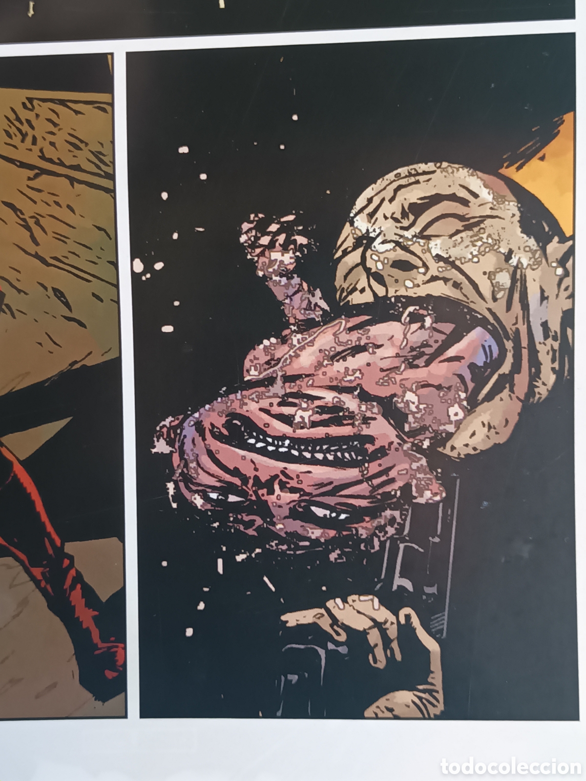 C&oacute;mics: Marvel Knights: Daredevil vol. 2 N&ordm; 8 PANINI - MARVEL 2006 Edici&oacute;n especial - Foto 9