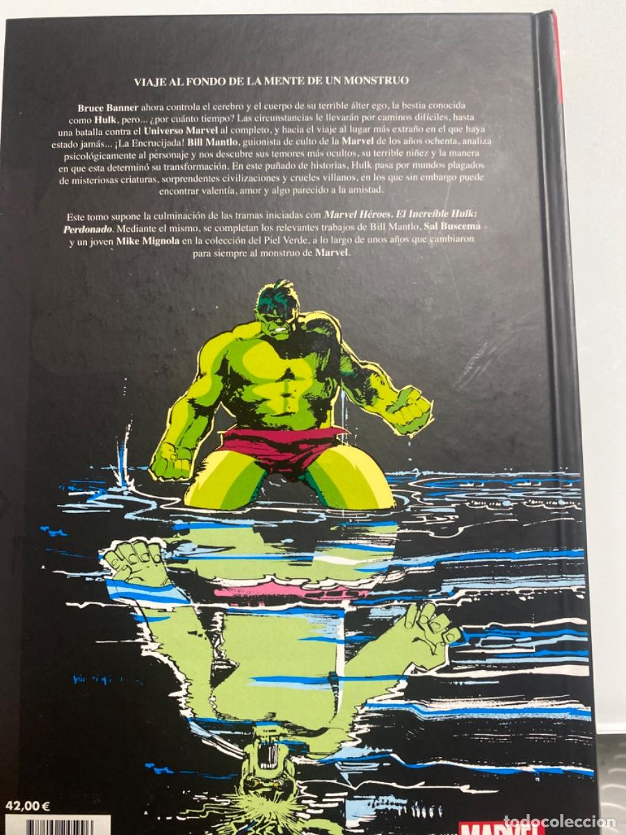 C&oacute;mics: El Incre&iacute;ble Hulk, La Encrucijada - Foto 3
