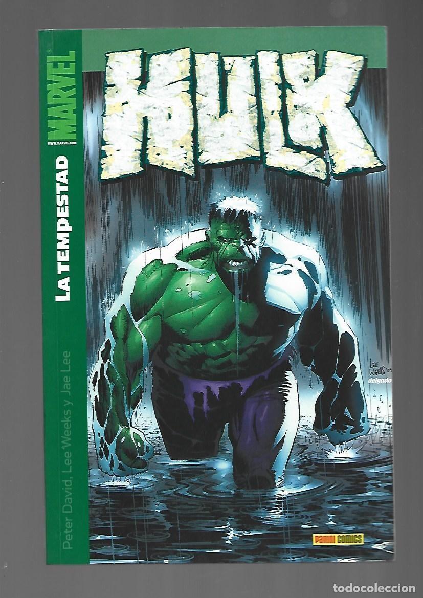 C&oacute;mics: Hulk 6: la tempestad, 2006, Panini, muy buen estado - Foto 1