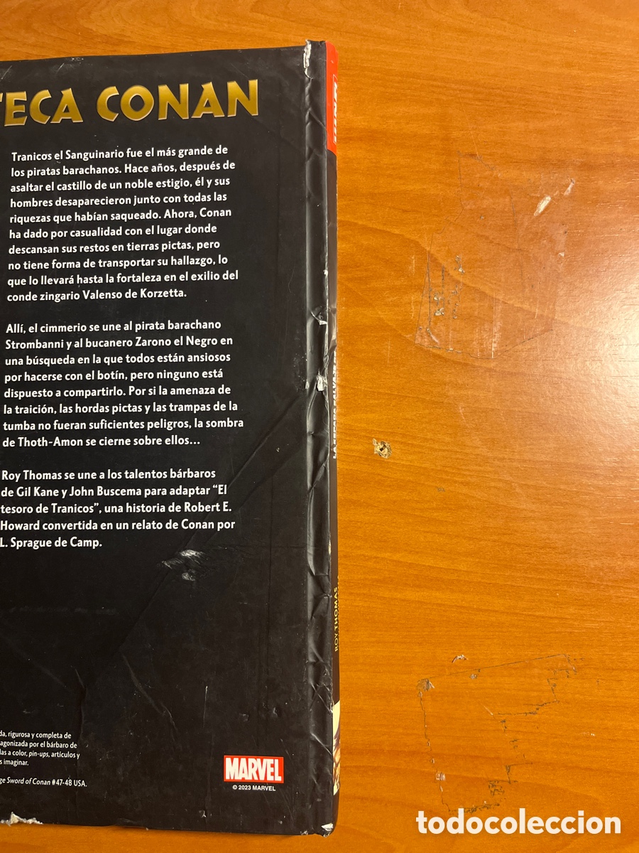 C&oacute;mics: LA ESPADA SALVAJE DE CONAN, N&Uacute;MERO 15, (PANINI COMICS) - Foto 3