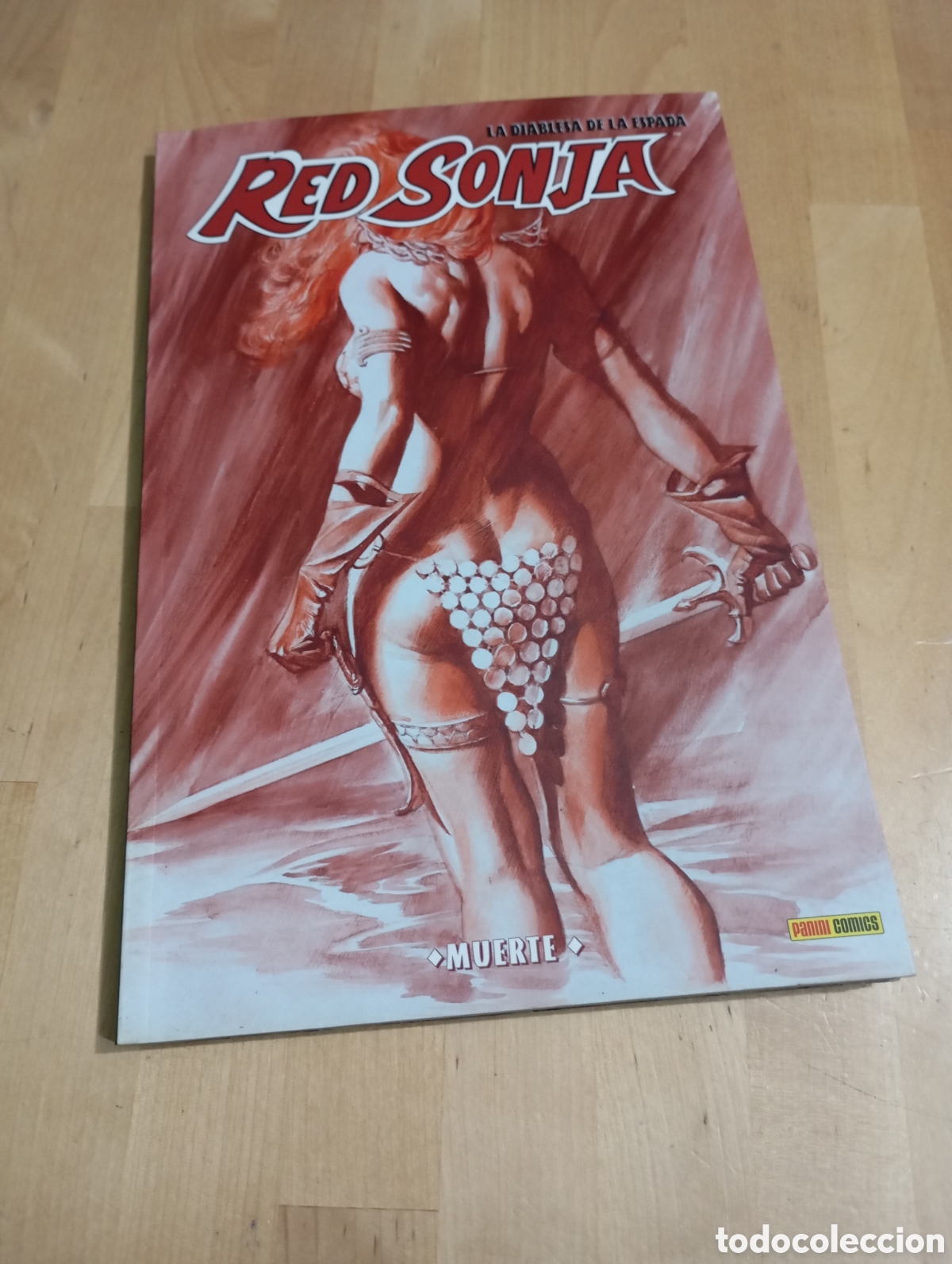 C&oacute;mics: Red Sonja La Diablesa de la Espada Muerte n&deg; 6 Panini Comics 2009 - Foto 1