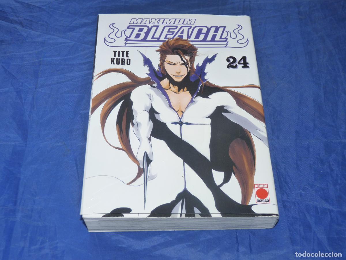 C&oacute;mics: Maximum Bleach 14 OREFSLL - Foto 1