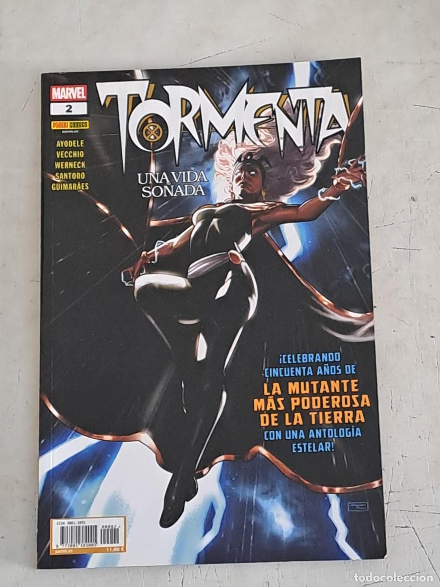 C&oacute;mics: Tormenta 2, una vida so&ntilde;ada, Panini en perfecto estado