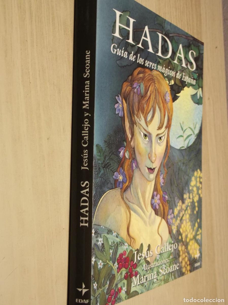 C&oacute;mics: Hadas de Jes&uacute;s Callejo -TAPA BLANDA