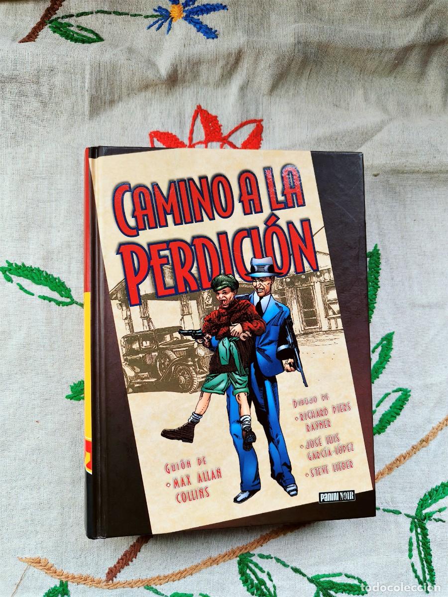 C&oacute;mics: Camino a la Perdici&oacute;n. Allan Collins. Panini.