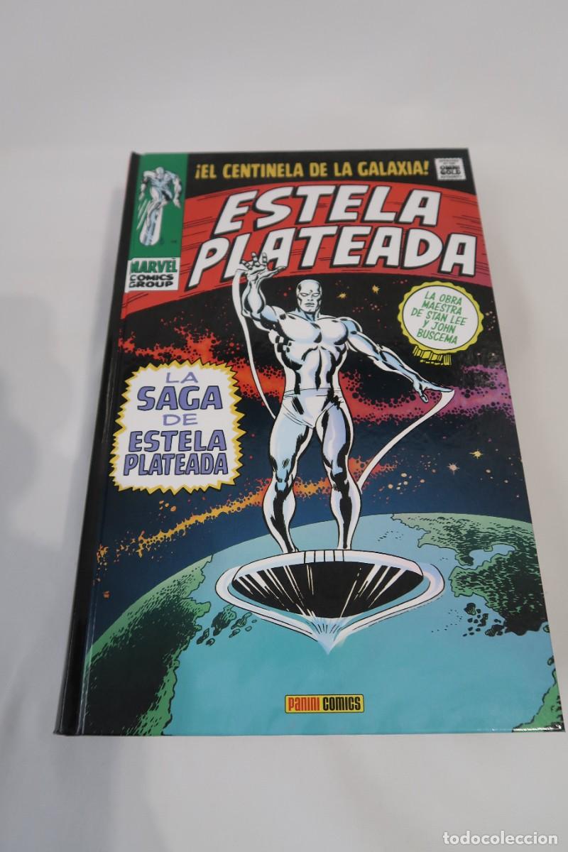 C&oacute;mics: (L82) Lote Estela Plateada PANINI - Foto 6