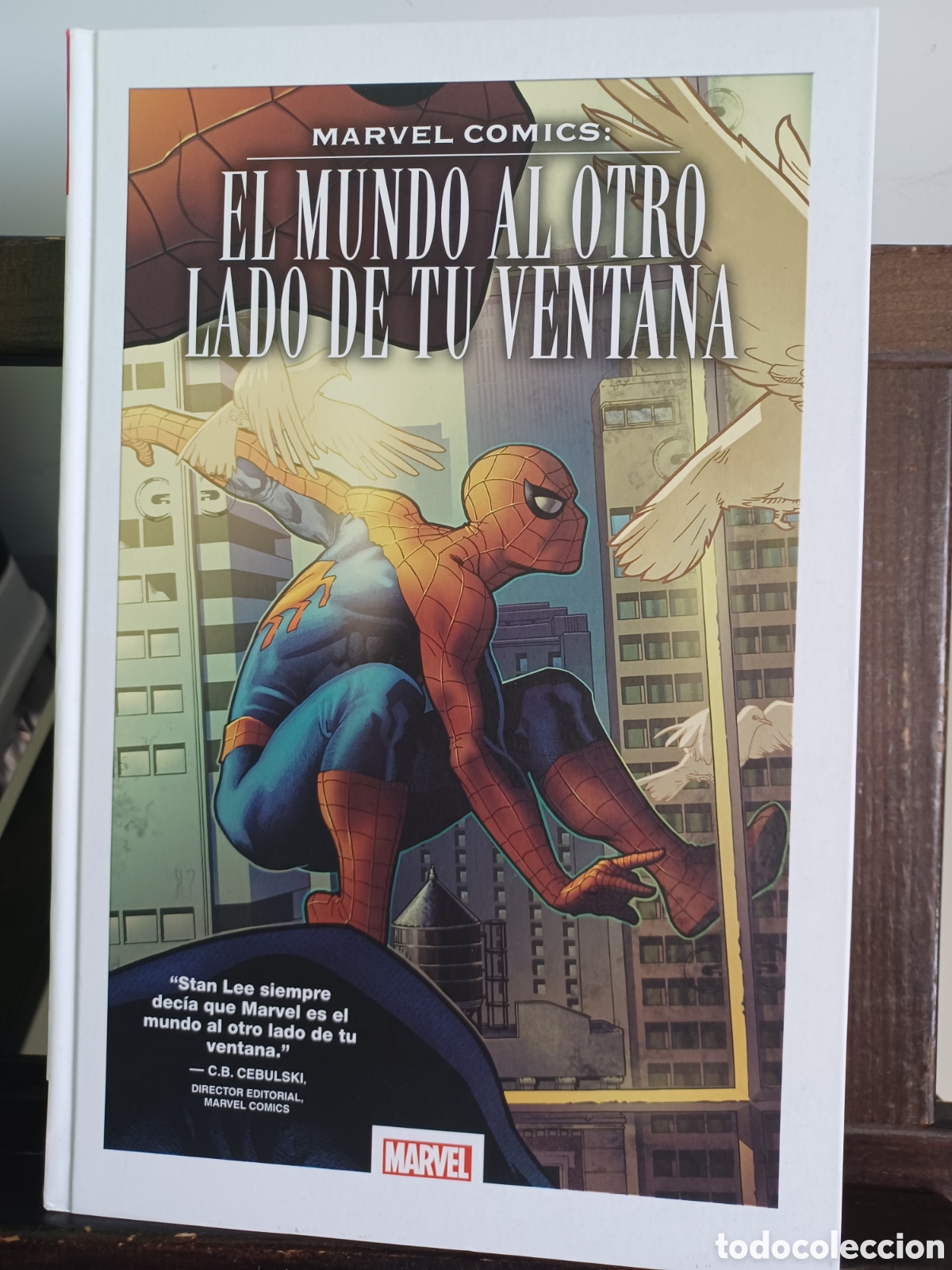 C&oacute;mics: Marvel C&oacute;mics: El mundo al otro lado de la ventana/ Panini/ NUEVO A ESTRENAR