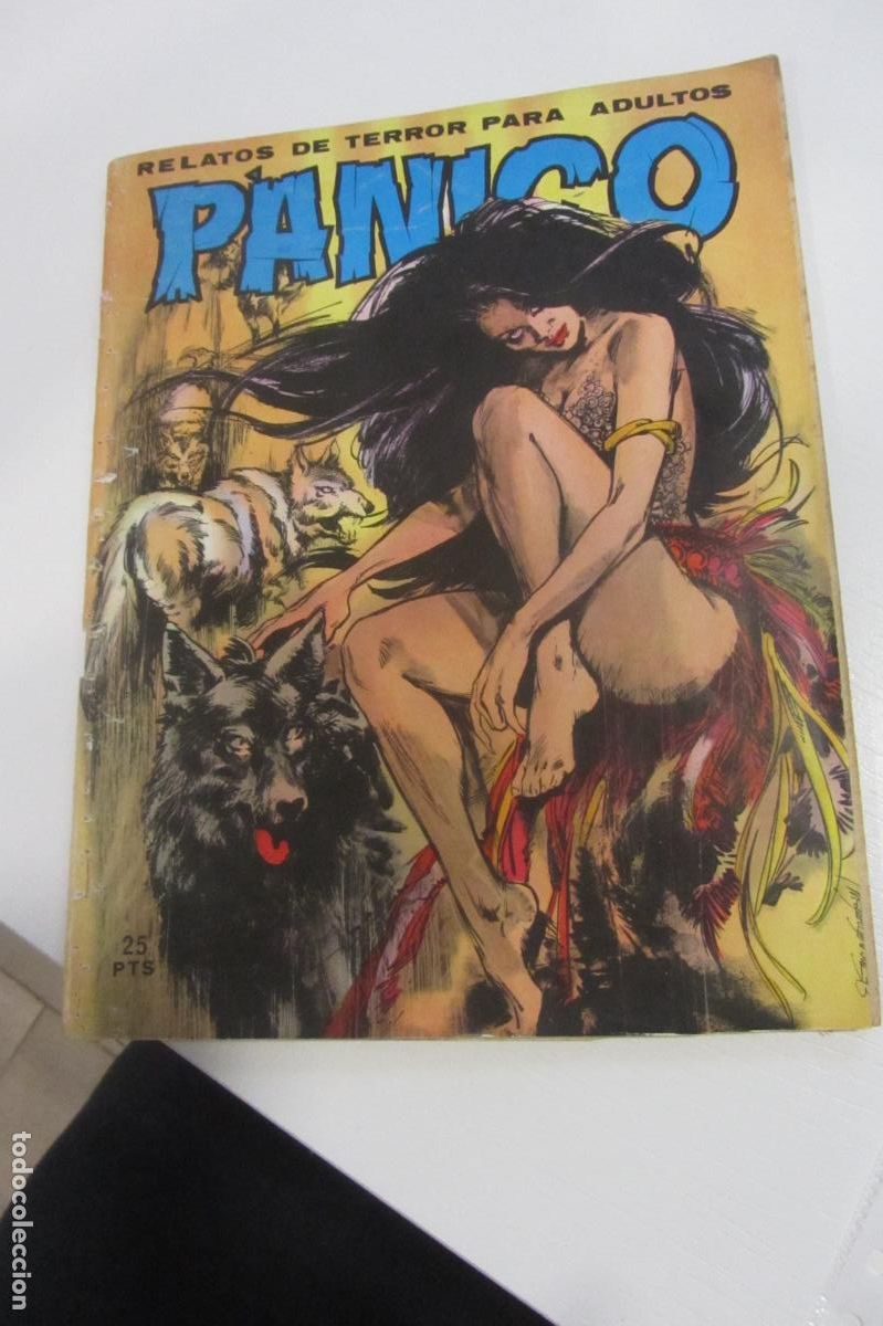 C&oacute;mics: PANICO N&ordm; 12 EDICIONES VILMAR arx69