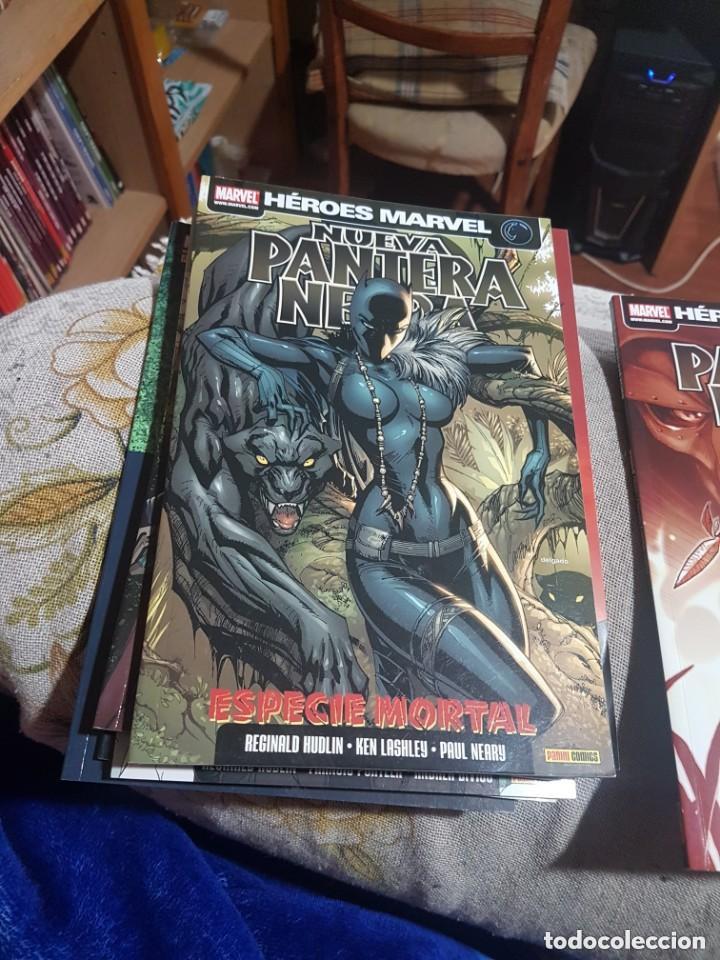 C&oacute;mics: NUEVA PANTERA NEGRA 2010-2012 . PANTERA NEGRA 2016 - 2018
