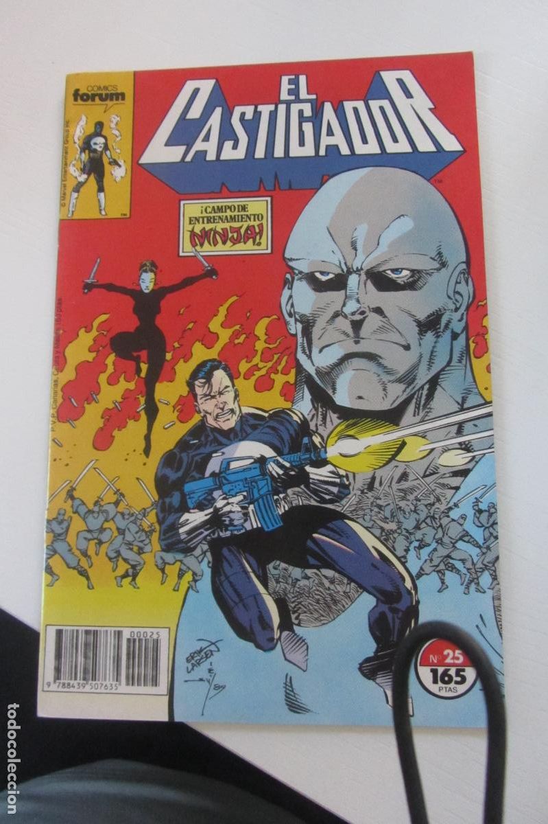 C&oacute;mics: EL CASTIGADOR vol 1 N&ordm; 25 - FORUM arx88