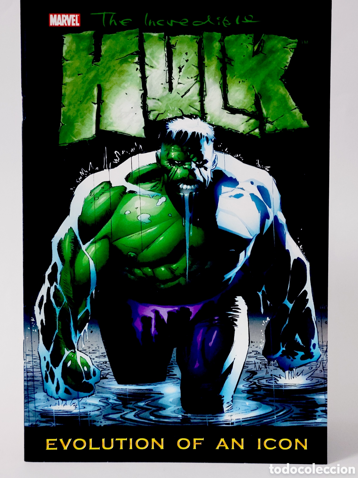 C&oacute;mics: C&Oacute;MIC THE INCRE&Iacute;BLE HULK EVOLUTION OF AN ICON PANINI MARVEL GRAPA DE KIOSCO