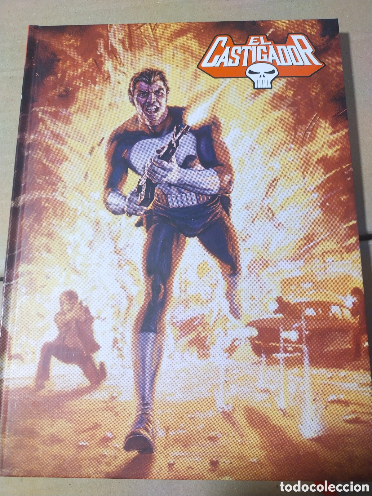 C&oacute;mics: Marvel Limited Edition: El Castigador