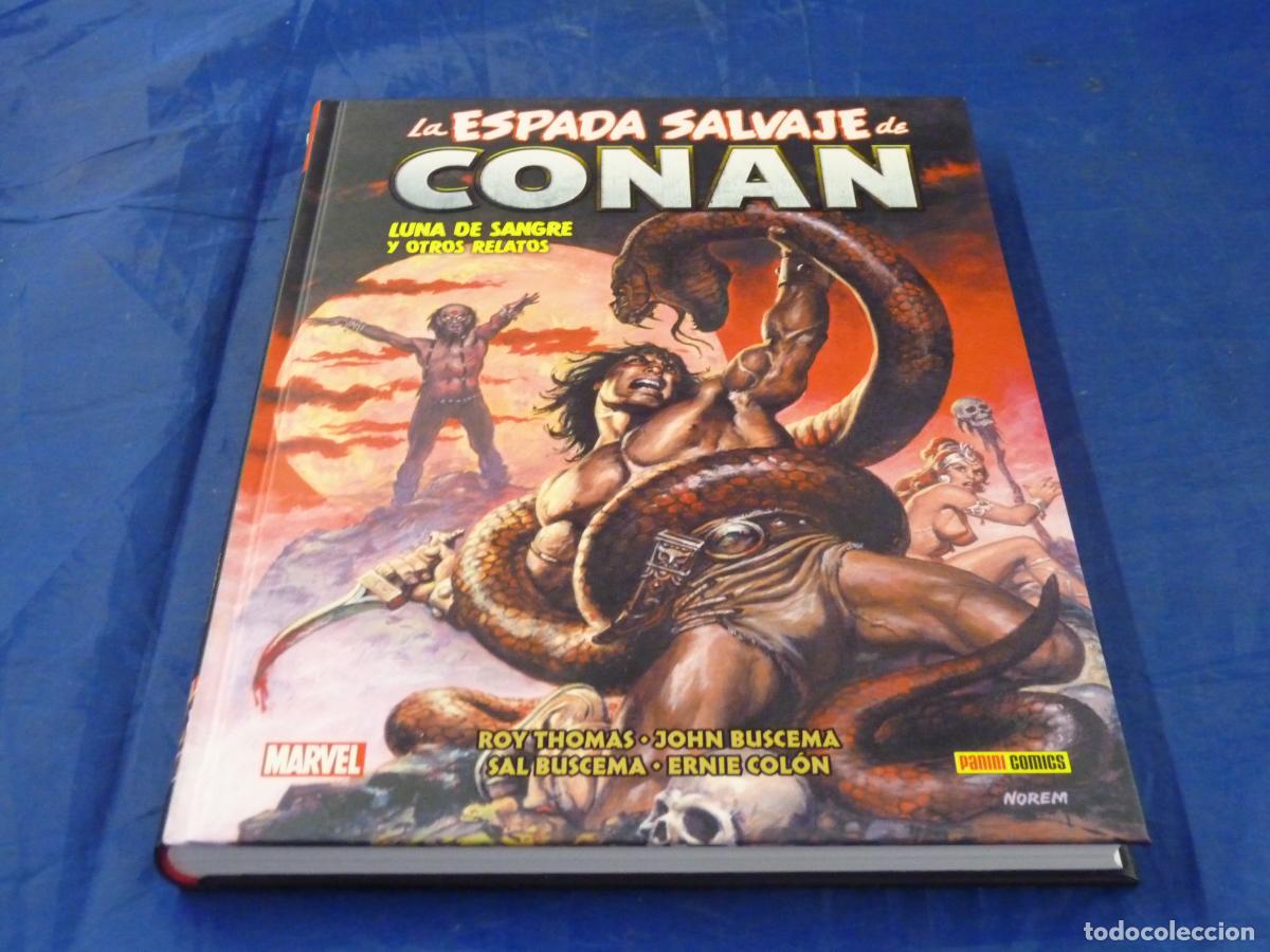 C&oacute;mics: LA ESPADA SALVAJE DE CONAN 14 (BIBLIOTECA CONAN) OREFSLL