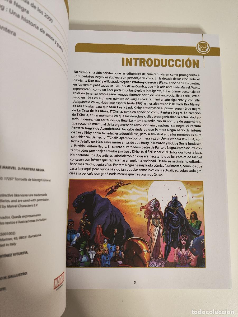 C&oacute;mics: Pantera Negra &ndash; El Renacimiento de Marvel &ndash; Panini 2021 - Foto 4