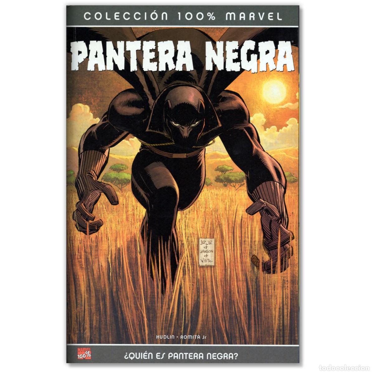 C&oacute;mics: PANTERA NEGRA 100% MARVEL &iquest;QUI&Eacute;N ES PANTERA NEGRA? - Foto 1