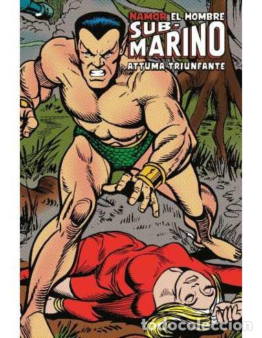 Comics : Namor 03. El Hombre Sub-Marino. Attuma Triunfante. Marvel Limited Edition (Panini Comics) - Roy Thom