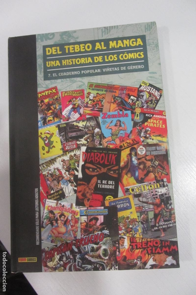 C&oacute;mics: Del Tebeo Al Manga Una Historia De Los C&oacute;mics 7 El Cuaderno Popular Vi&ntilde;etas De G&eacute;nero PANINI arx282