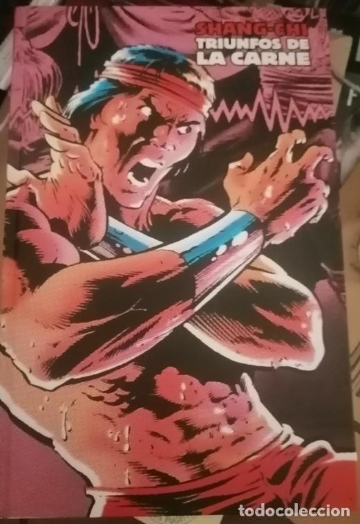C&oacute;mics: Shang Chi . Triunfos de la carne. MLE