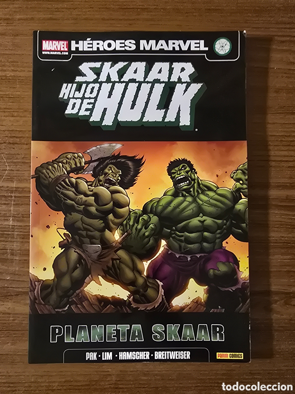 C&oacute;mics: SKAAR HIJO DE HULK,PLANETA SKAAR,(PANINI COMICS-MARVEL)
