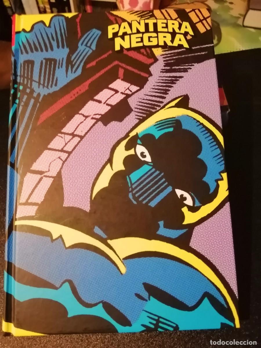 C&oacute;mics: Pantera Negra. Panini MLE.