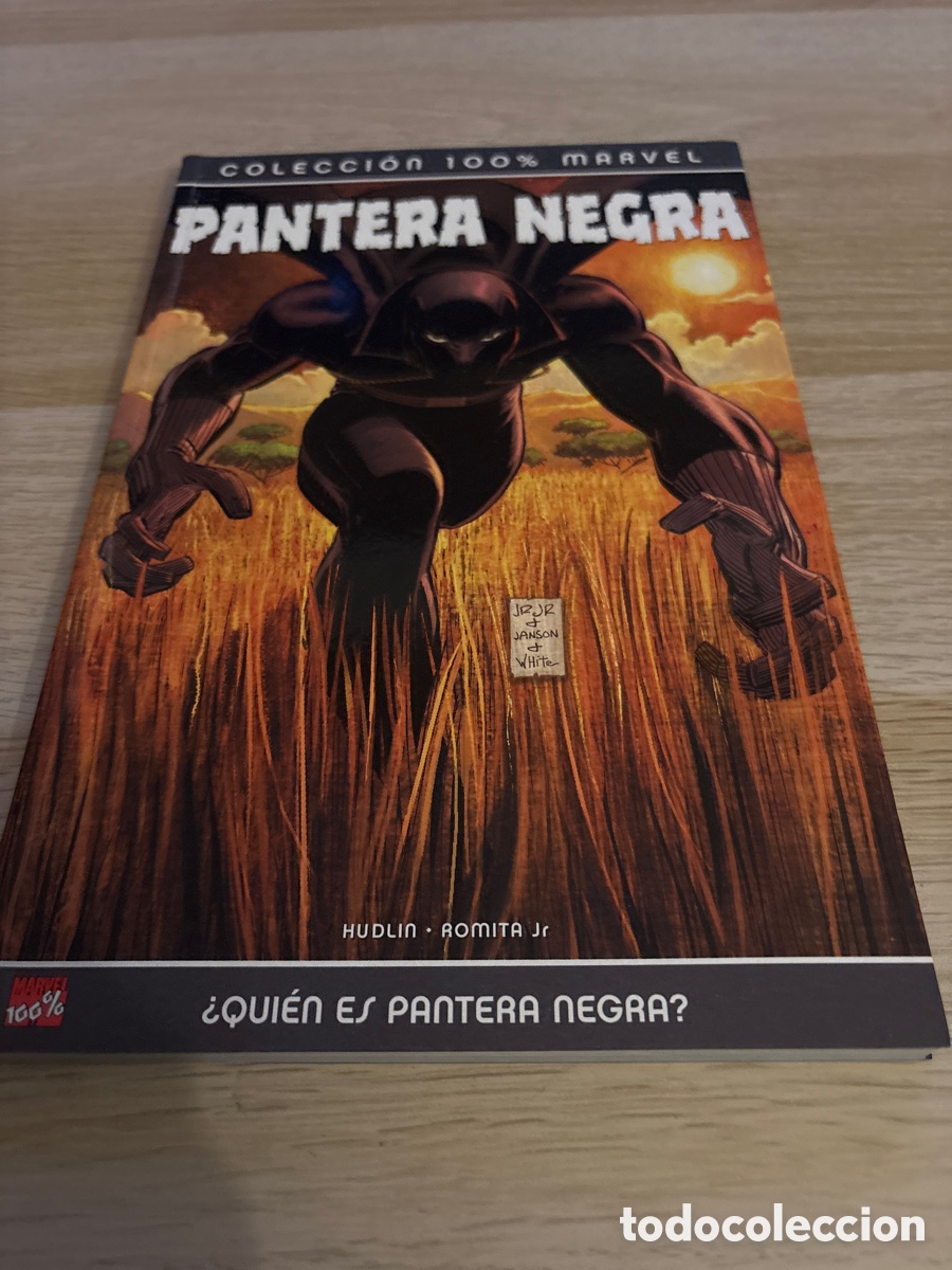C&oacute;mics: Pantera negra. Quien es pantera negra.