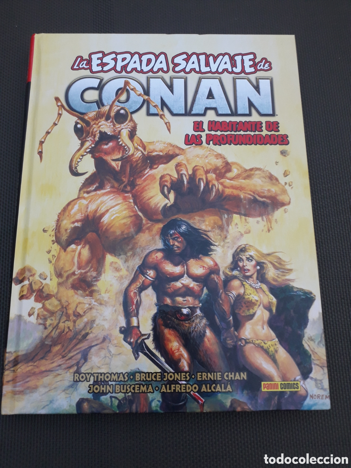 C&oacute;mics: BIBLIOTECA CONAN. LA ESPADA SALVAJE DE CONAN TOMO 22. EXCELENTE ESTADO