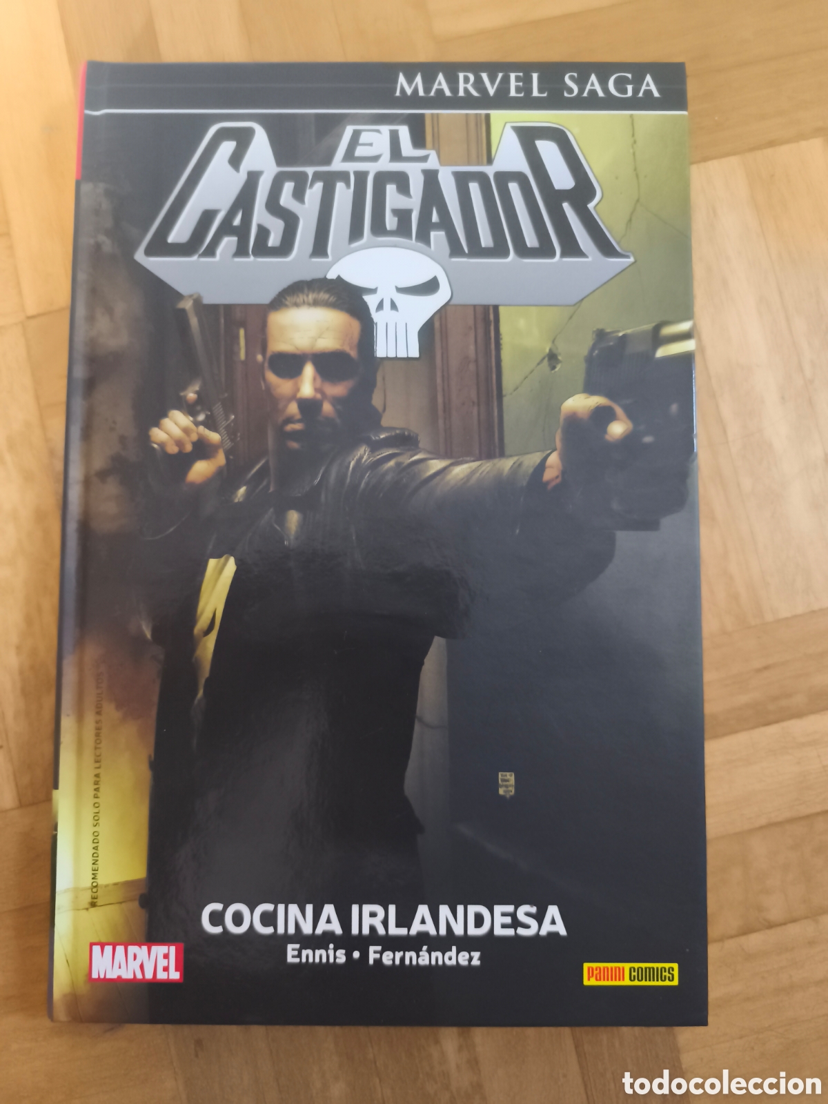 C&oacute;mics: Castigador de garth ennis