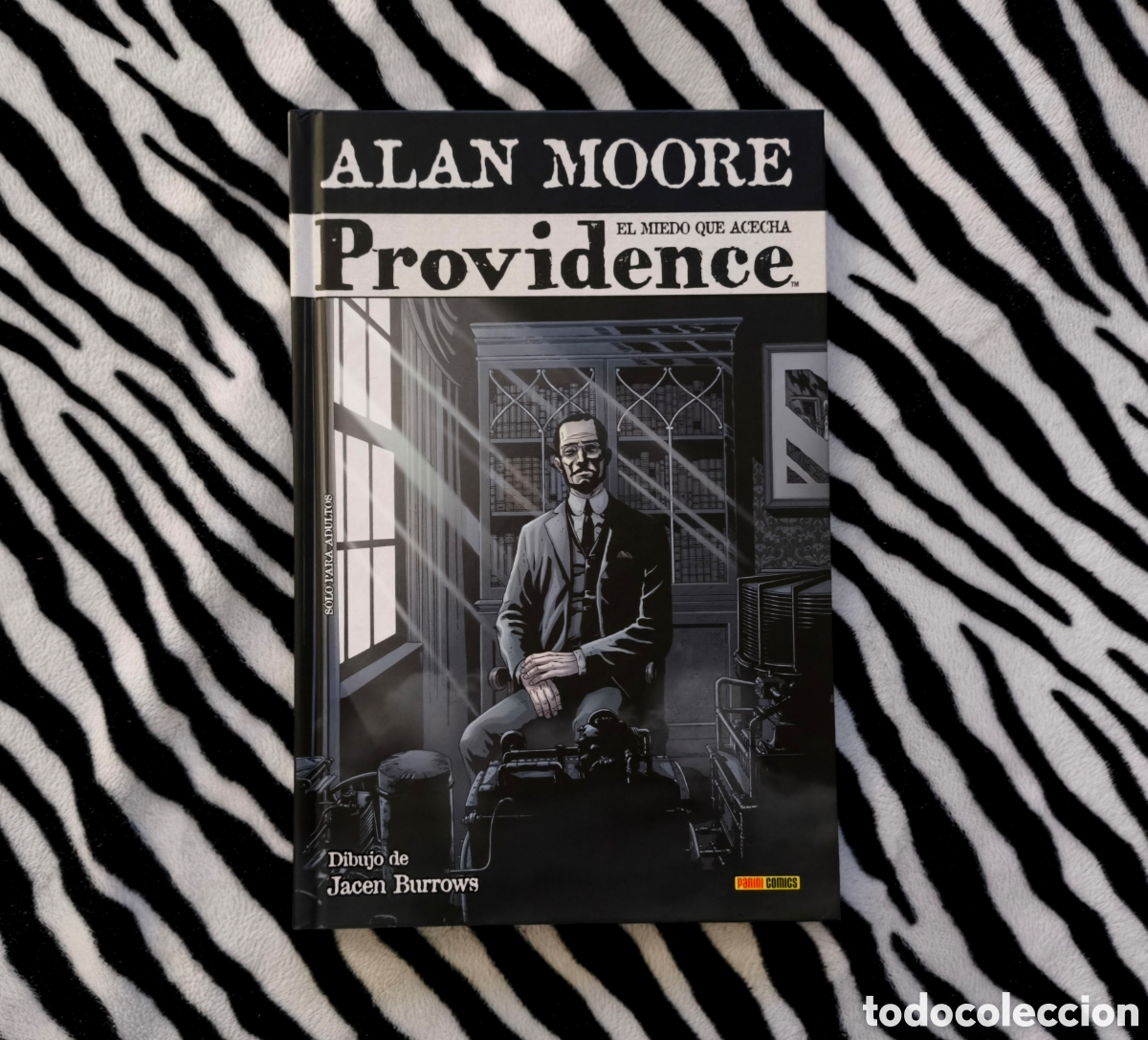 C&oacute;mics: C&oacute;mic Providence Vol. 1 - El miedo que acecha - Alan Moore (Panini) Novela gr&aacute;fica