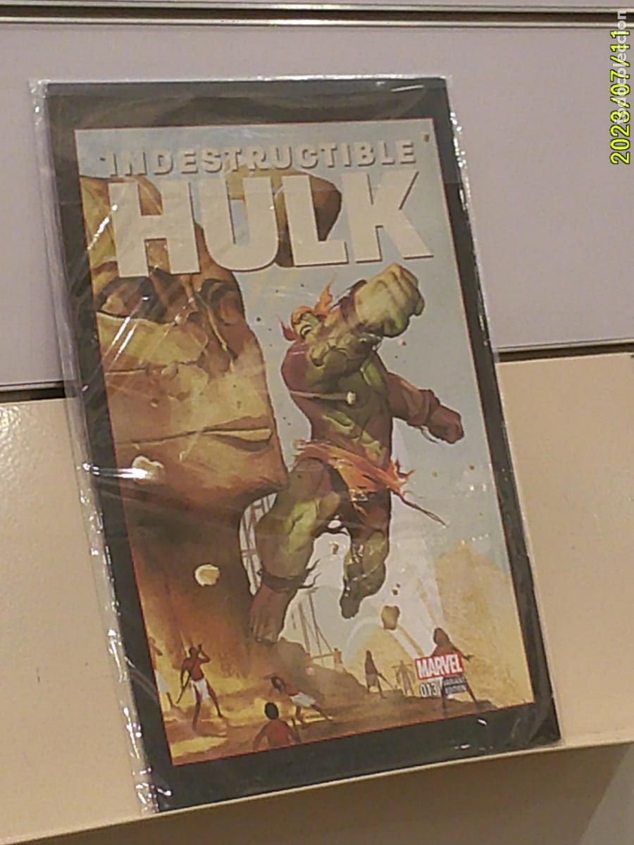 C&oacute;mics: EL INDESTRUCTIBLE HULK N&ordm; 19 MARVEL - PANINI - Foto 2