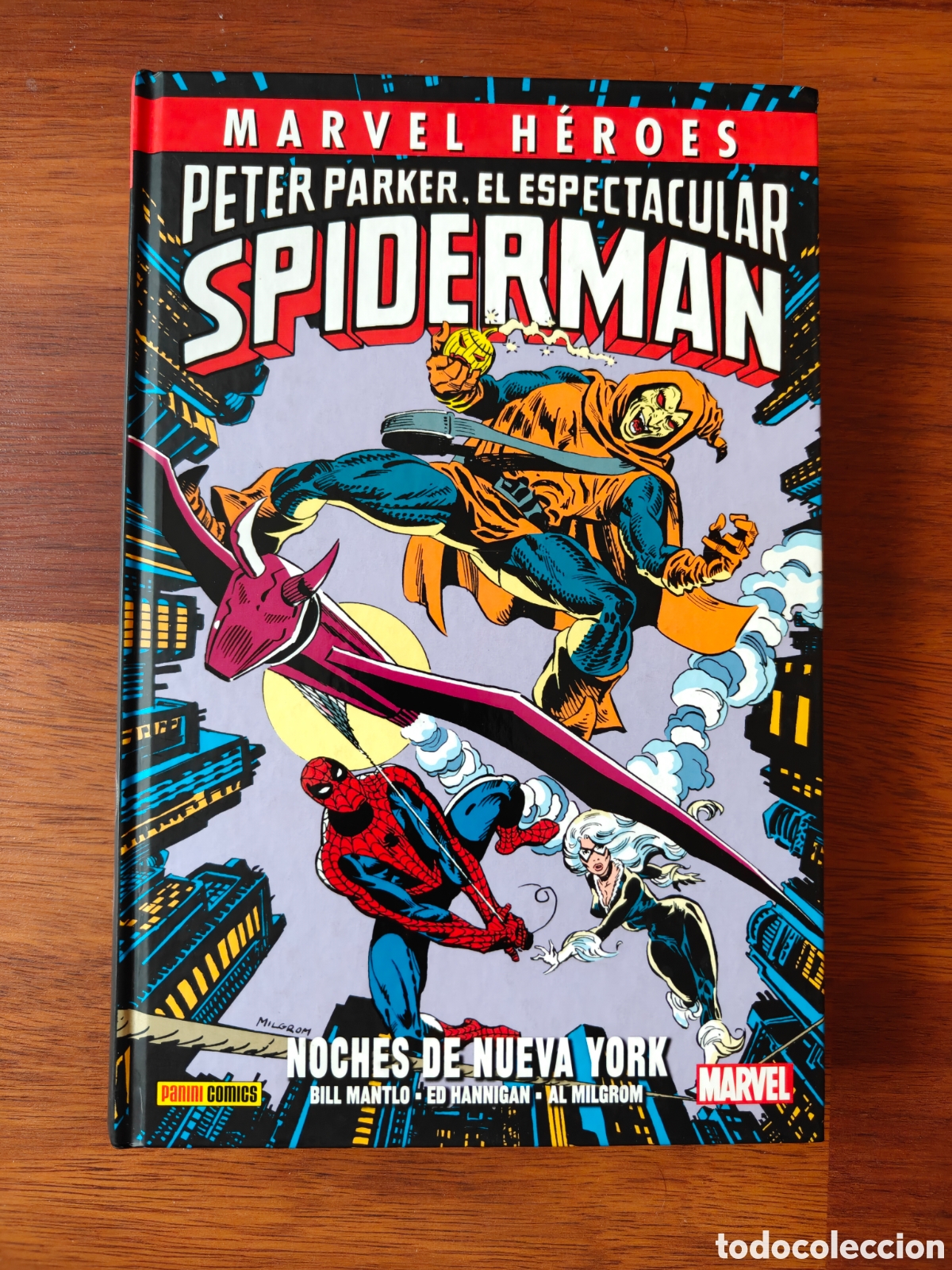 C&oacute;mics: Marvel H&eacute;roes Peter Parker, El espectacular Spiderman. Noches de Nueva York.